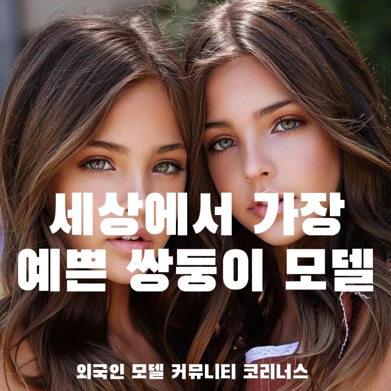 생후 6개월에 에이전시 계약한 세상에서 가장 예쁜 쌍둥이 모델 : 네이버 블로그