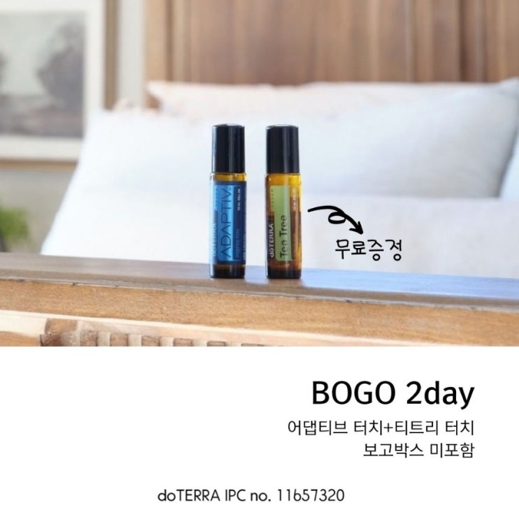  도테라 보고데이 2, 어댑티브 터치 구매 시 티트티 터치 무료증정_보고박스미포함