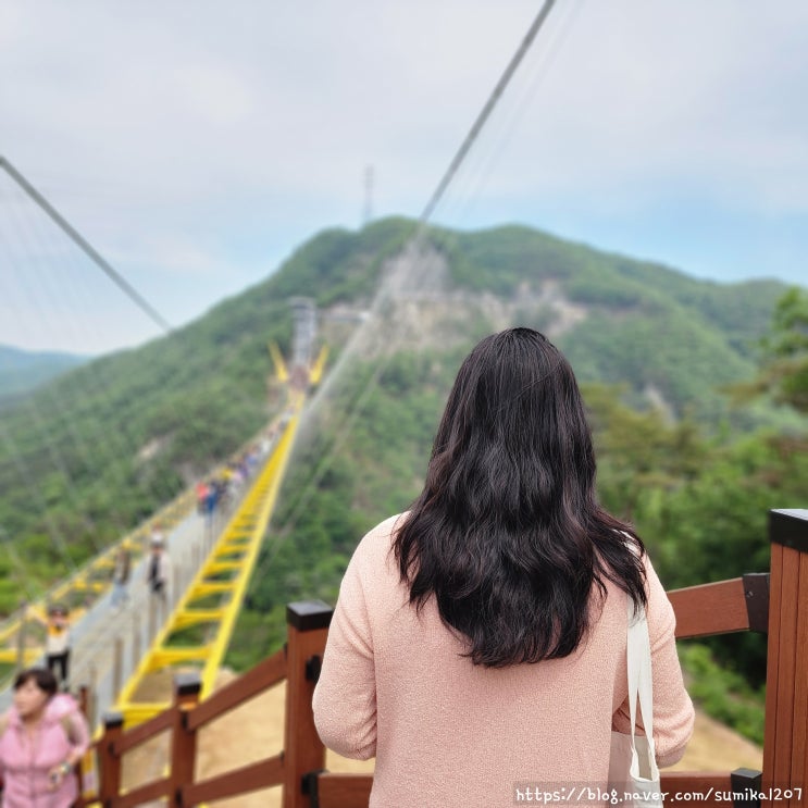 원주 가볼만한곳 소금산 출렁다리, 나 떨고 있냐? 매표소팁 원주 가볼만한곳 소금산 출렁다리, 나 떨고 있냐? 매표소팁