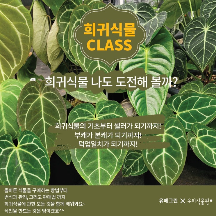 3기 희귀식물 클래스 수강생 모집(마감)