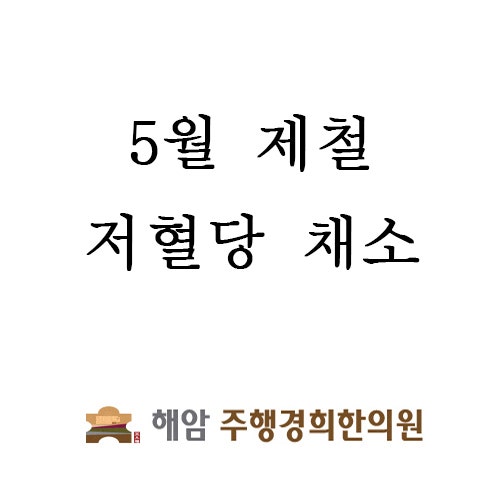 옥련동한의원 주행경희한의원 : 다이어트 채소3 [옥련동다이어트] 2
