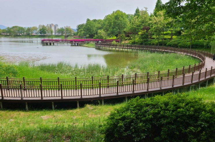 김제 가볼만한 곳, 김제 시민문화 체육공원(김제 시민문화 공원) 풍경(5월 19일)