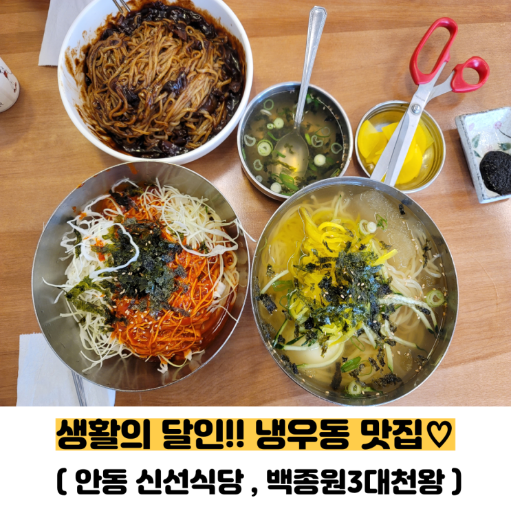  안동 신선식당 냉우동,비빔우동,짜장면 먹은 후기에요(안동 현지인 맛집 추천,내돈내산)