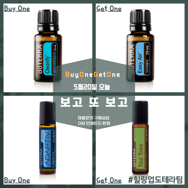  보고데이2일차 '클리어리파이' + '이지에어' , '어댑티브터치' + '티트리터치' 보고 또 보고! 소개