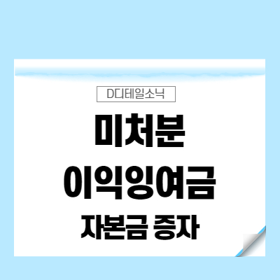  미처분이익잉여금 자본금 증자 방법(법인 회계, 가수금 가지급금)