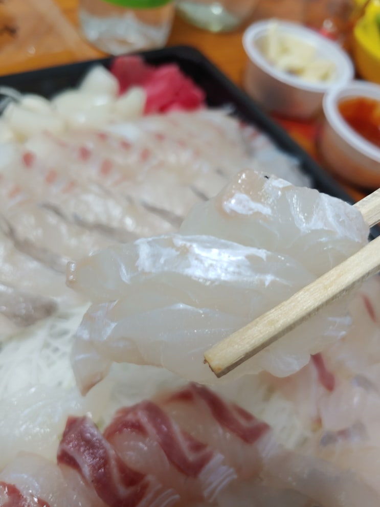  서귀포올레시장횟집 올레강민 가성비 최고