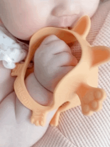  마마스템 손목치발기 출산선물 강력추천! 챱챱후기