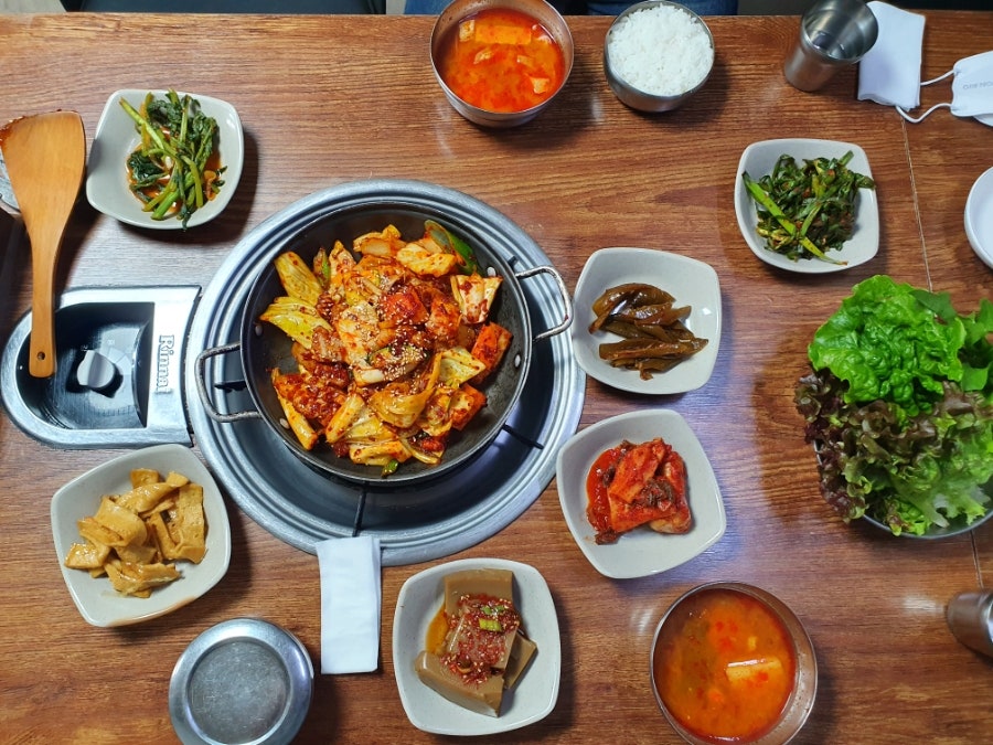 제주방목흑도야지 사진 6