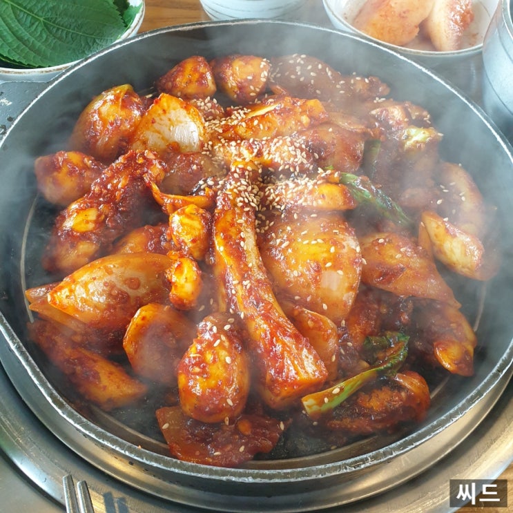  [의왕] 부모님과 같이 가기 좋은 의왕 맛집 "조가네 갑오징어 왕송호수점" 내돈내산 찐 후기!