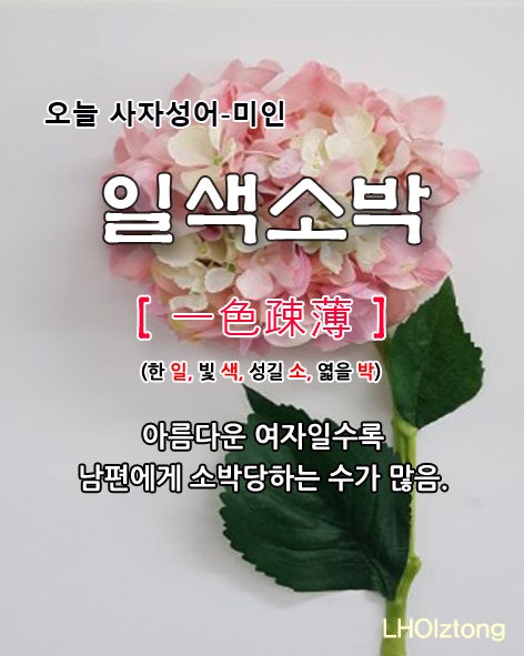  [870] 오늘 사자성어 일색소박(一色疎薄)의 뜻은?
