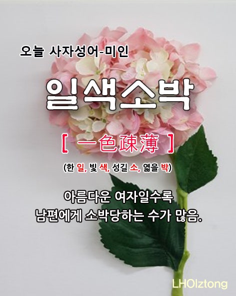 [870] 오늘 사자성어 일색소박(一色疎薄)의 뜻은?