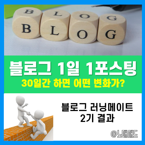 블로그 1일 1포스팅 효과가 이 정도라고? :: 블로그 러닝메이트 2기 결과