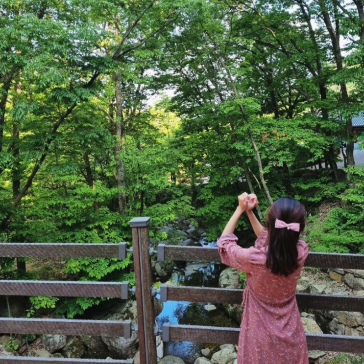  전남 곡성 도림사 계곡 맑은물 노지캠핑 카라반 있는 오토 캠핑장 광주 근교 여행지 추천