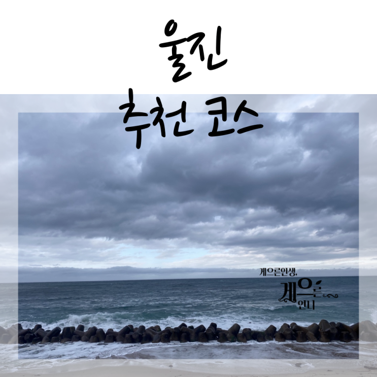  [울진] 당일치기 울진여행 가볼만한곳 죽변해안 스카이레일 제일반점 성류굴