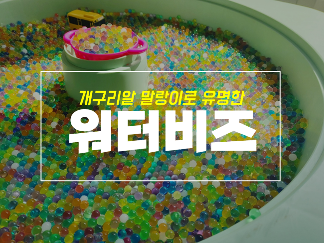  개구리알 말랑이 장난감으로 유명한 워터비즈 수정토