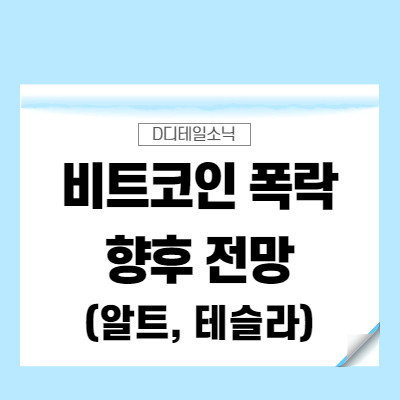  비트코인 폭락(하락, 급락) 뉴스 전망(알트, 테슬라)