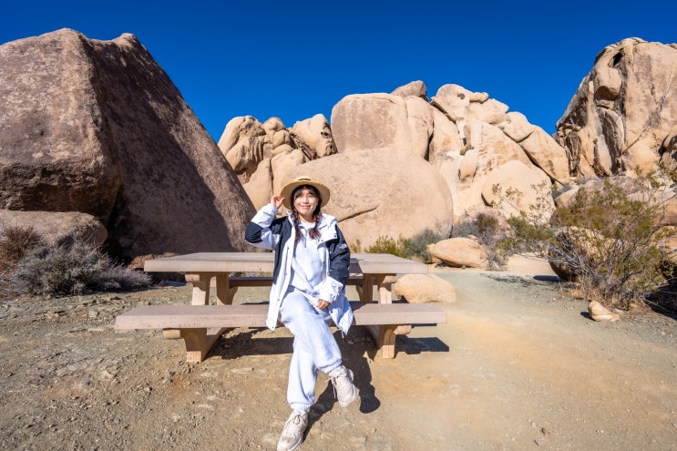  미서부여행 팜스프링스 * 사막정원 조슈아트리국립공원 JoshuaTreeNational Park