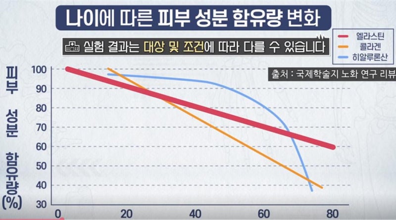 피부 탄력의 핵심, 운동!