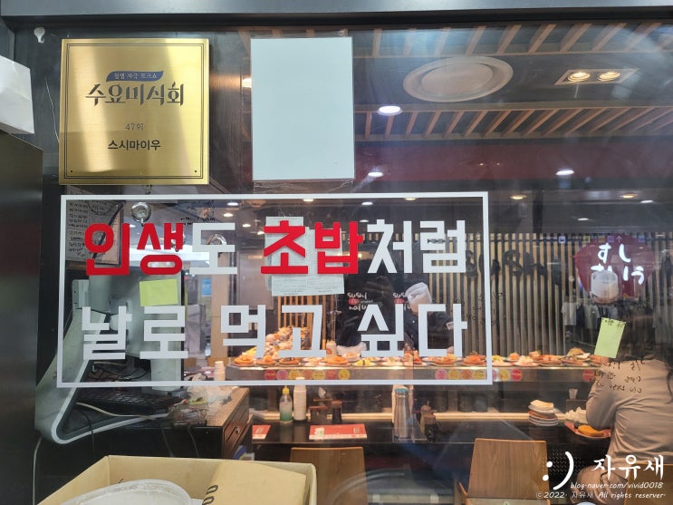 고속터미널 스시마이우 본점 회전초밥 맛집 포장 가족석 예약