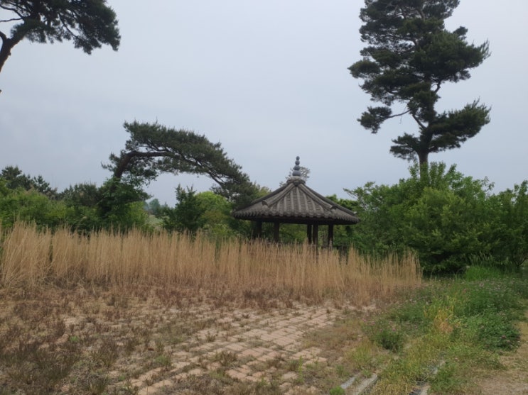 오른발이 오른발이