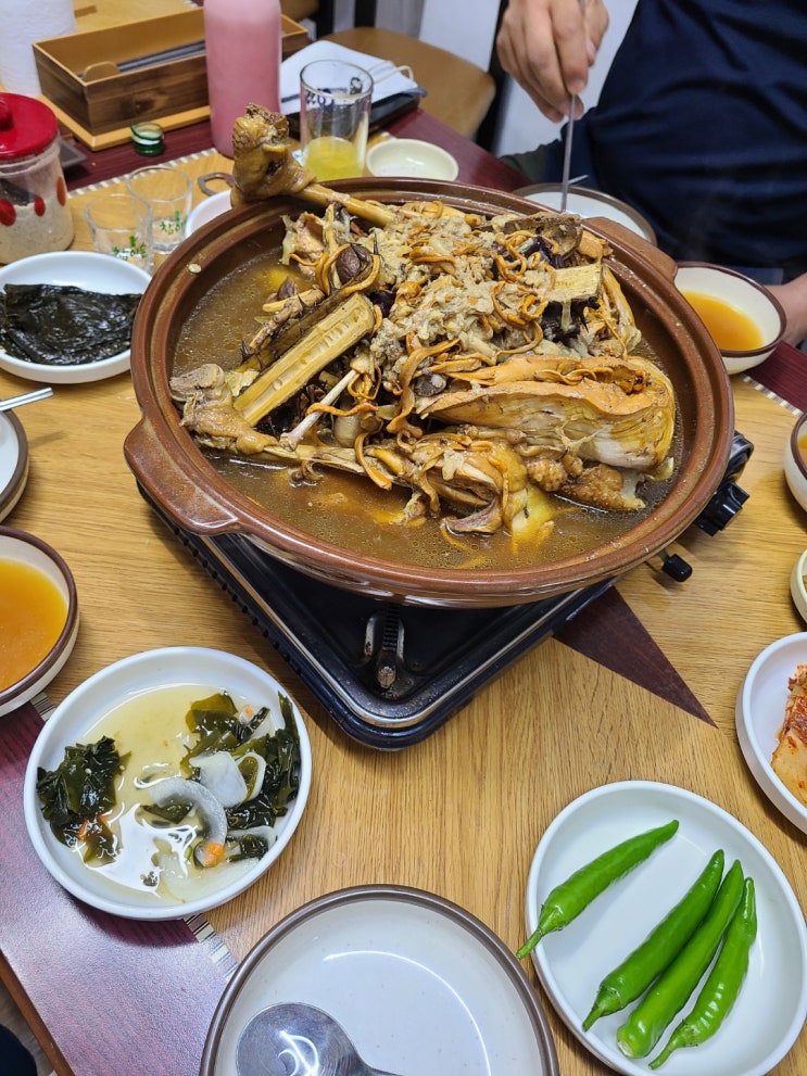  광주 서창동 맛집 맛있는 백숙과 풍경은 기본 절골가든!