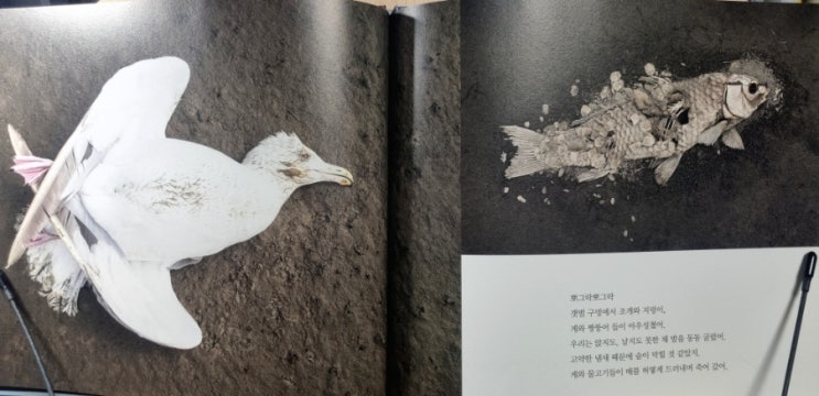  초등 환경책 :: 미래환경그림책 (투발루에게 수영을 가르칠 걸 그랬어 외 3권)