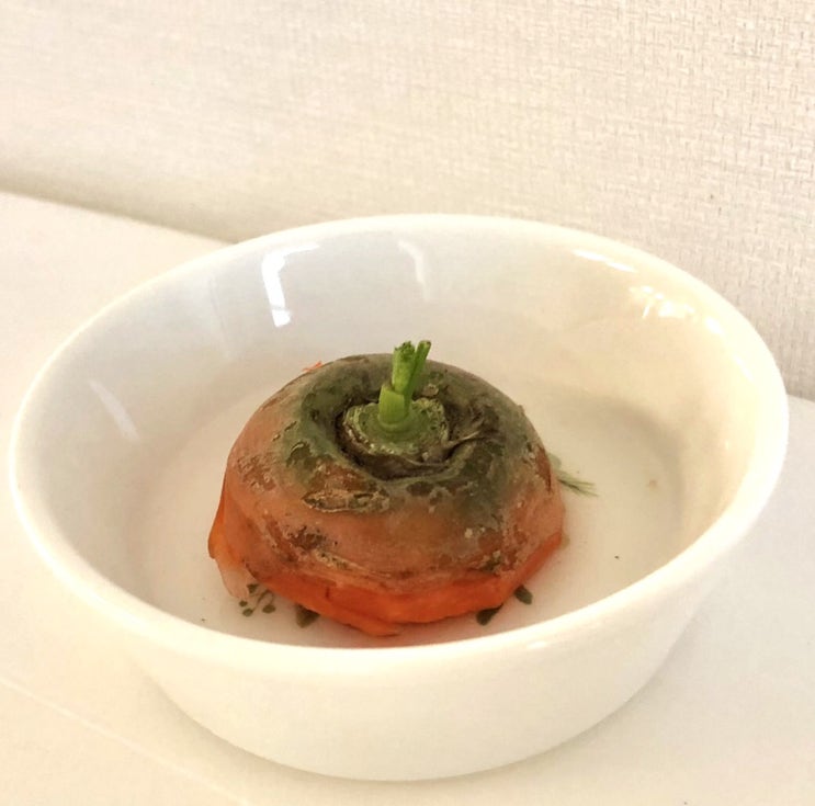  <수경재배>당근키우기