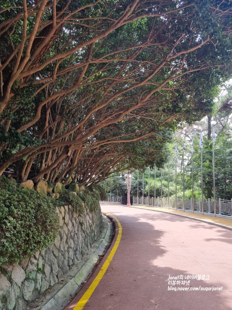 부산 해운대 여행코스 가볼만한 곳 예쁜 동백섬 부산 해운대 여행코스 가볼만한 곳 예쁜 동백섬