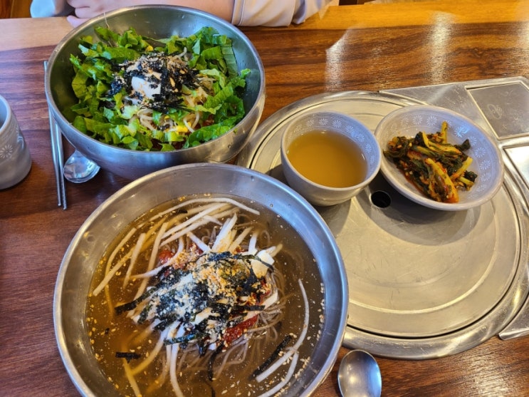  [대전 유성구] 메밀촌 물막국수, 비빔막국수 양과 맛 모두 만족!