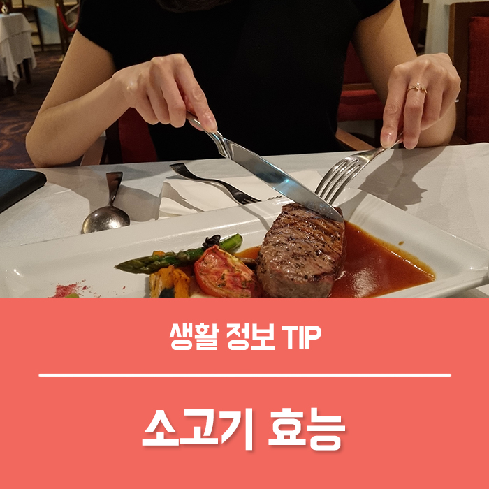  눈에 좋은 음식 , 근육량 늘리기 좋은 고단백질 음식 소간 소고기 효능