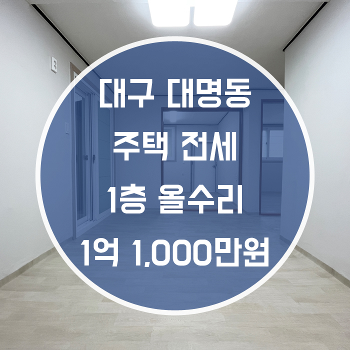 대구 남구 대명동 / 주택 전세 올수리 1층 거실+주방+방3