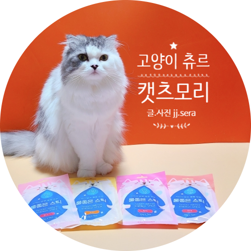 고양이간식추천 : 기호성 좋은 고양이츄르 캣츠모리 물좋은스틱을 아시나요