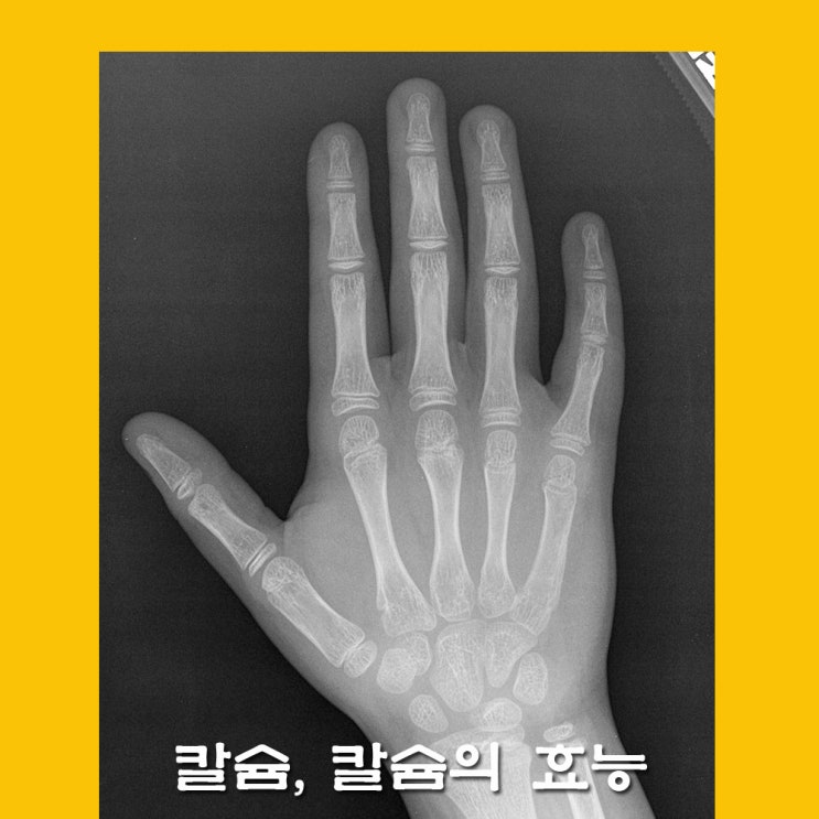  칼슘.캄슘 효능.뼈건강
