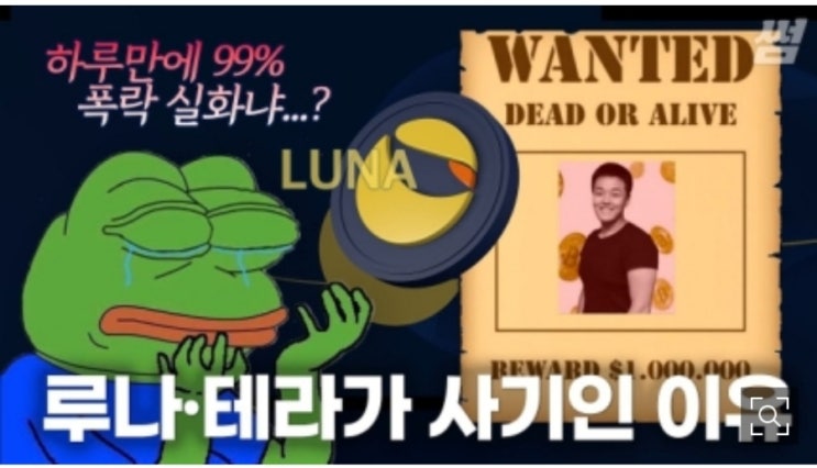 테라를 유지하는 자금출처는? 너희엄마 돈이지! 폰지사기 예고한 권도형? 테라를 유지하는 자금출처는? 너희엄마 돈이지! 폰지사기 예고한 권도형?