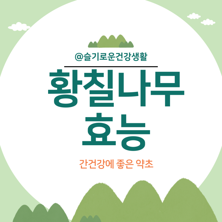  황칠나무 효능 및 먹는법