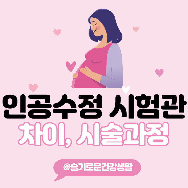 인공수정 과정 시험관 차이 (난자채취, 시술과정) 체외수정