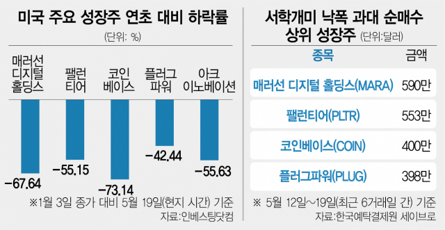 "바닥 쳤다"…개미들 폭락한 美 성장주 '줍줍'