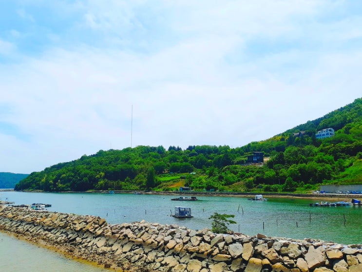 창원  가포 해안변 공원과 가포 본동 친수 문화공원 (오토 캠핑장)