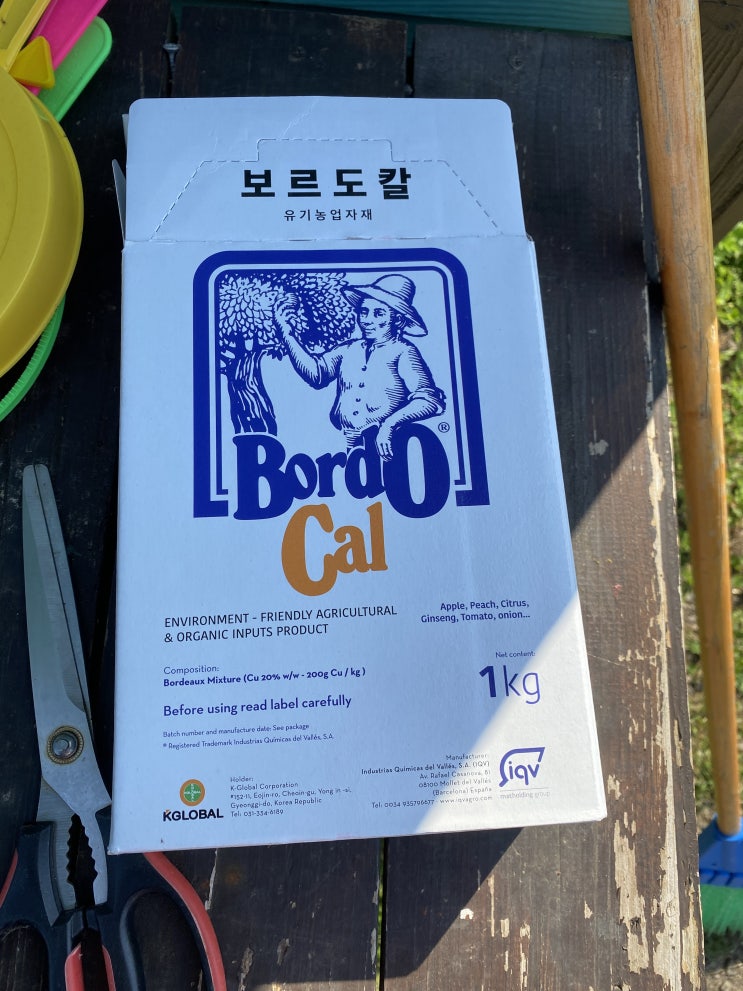 5월 17일 유기농 감귤밭 석회보르도 살포 5월 17일 유기농 감귤밭 석회보르도 살포