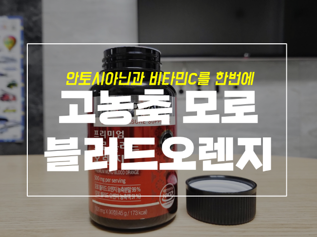  데일리 영양제 추천 뉴트리디데이 프리미엄 모로 블러드 오렌지
