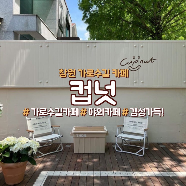  창원 가로수길 카페, 야외 자리 뷰가 좋았던 <컵넛>