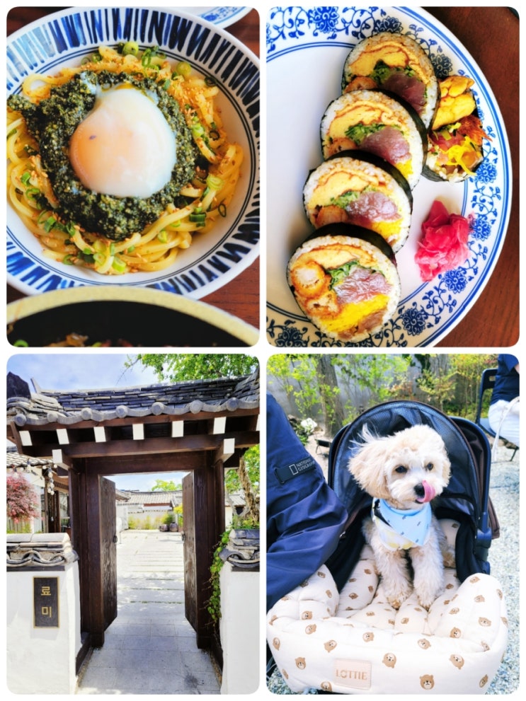  경주 여행 애견 동반 황리단길 맛집ㅣ료미 (고마 소바, 후토마키, 스테이크덮밥) 데이트하기 좋은 곳, 분위기 좋은 식당, 크림 말티푸 카이와 함께 내 돈 내산