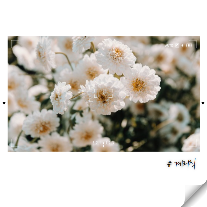  2022 계리직 예상합격선