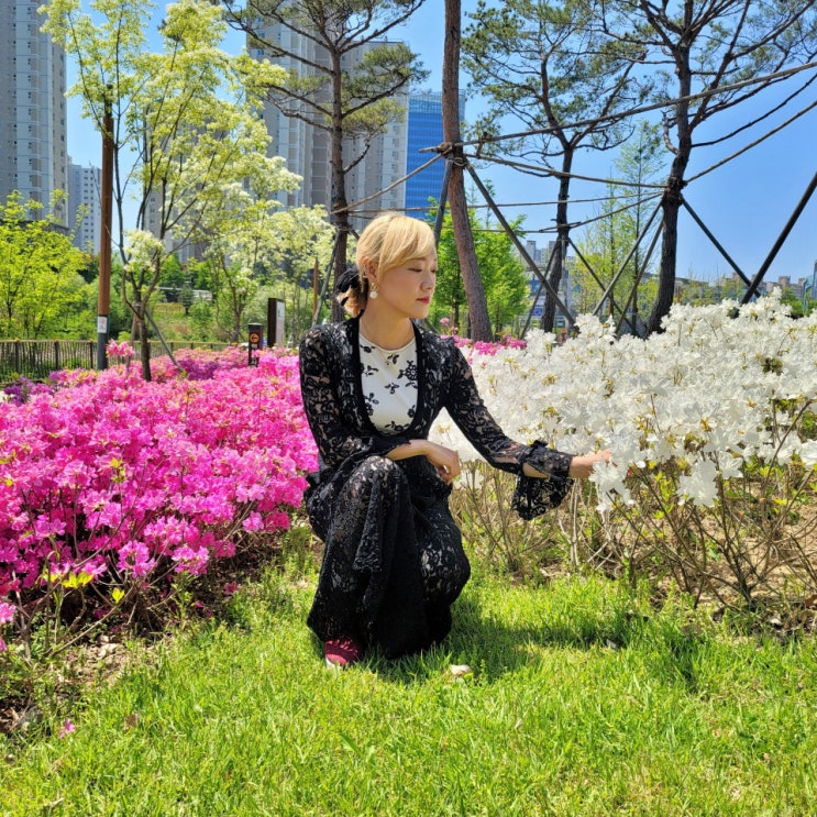  원주 수변공원 두물수변공원 둘레길 산책
