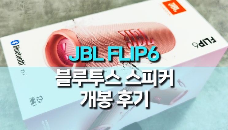 작지만 강한 JBL FLIP 6 블루투스 스피커 후기 작지만 강한 JBL FLIP 6 블루투스 스피커 후기