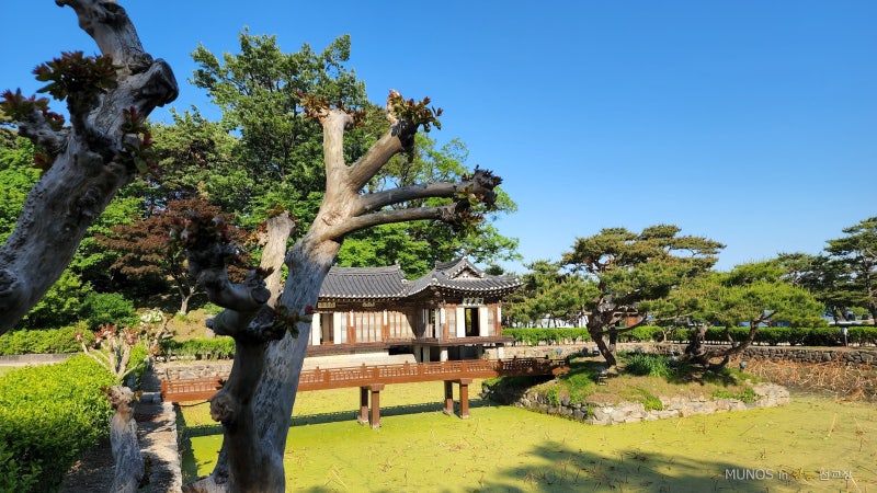 강릉 선교장 - 쉬며 걸으며 돌아보기 좋은 곳 : 네이버 블로그