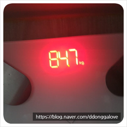  [다이어트 100일] 몸무게 8kg 감량 도전 D-98
