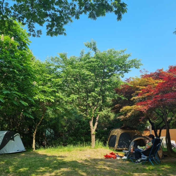경기 성남, 분당 율동공원 모래놀이터에서 즐기는 주말나들이. 경기 성남, 분당 율동공원 모래놀이터에서 즐기는 주말나들이.