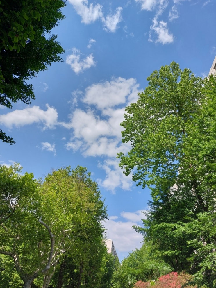 <Gospel.S.> 주 하나님 지으신 모든 세계 가사 피아노 반주 <Gospel.S.> 주 하나님 지으신 모든 세계 가사 피아노 반주