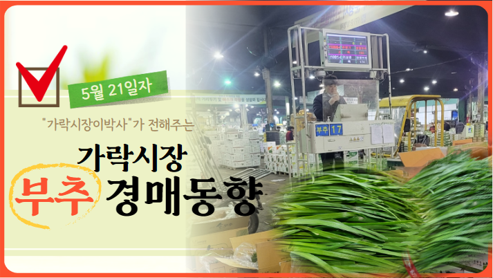  [경매사 일일보고] 가락시장 5월 21일자 "부추" 경매동향을 살펴보겠습니다!
